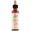 Schwabe Pharma Italia Srl Fiori di Bach N. 29 Star of Bethlehem flacone da 20ml