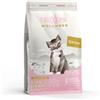 Naxos Adragna Naxos Gatto Wellness Kitten Conca D'oro No GLUTEN 1,5kg