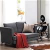 RELAX4LIFE Divano a 2 Posti 141x80x72cm, Divano da Salotto con 2 Cuscini, Stile Moderno, Mobili da Salotto per Camera da Letto, Ufficio, Soggiorno, Portata 370 KG (Divano M2)