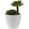 PRETYZOOM Piante finte impostore venni pentola piante da aria mini bonsai artificiale fake plants home decor fito decora piantine grasse pianta finta piante da patio finte plastica