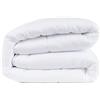 Flowen Trapunta Letto Matrimoniale 230x260 cm Trapunta Primaverile Imbottita Leggera Coperta Piumino in Morbida Microfibra di Alta Qualità Traspirante Antibatterico Lavabile in Lavatrice