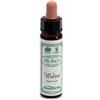 SANTIVERI Sa AINSWORTHS WALNUT 10ML