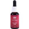 Australian Bush Flower Essences Bush Flowers Passion Love 30ml
