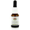 Australian Bush Flower Essences Angelsword Gocce 15ml