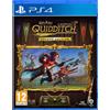 WB GAMES Harry Potter Campioni di Quidditch Deluxe Edition Playstation 4 Edizione Europea