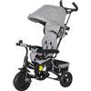 DecHome Triciclo per Bambini Tettuccio Regolabile Età 1-5 Anni Grigio 63L0GY DecHome
