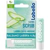 Labello Scrub Idratante Aloe Vera 4.8 g, Scrub Labbra con particelle esfolianti, aloe vera bio e vitamina E, Scrub labbra esfoliante senza oli minerali e microplastiche