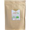 ERBAVOGLIO PROTEINE CANAPA BIO 450G