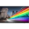 Philips Business TV 65 " 4K UHD LED con Chromecast integrato 65BFL2214/12 Philips