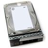 Dell Hard Disk Interno 12 TB 7200 Rpm 3.5" NL-SAS - 161-BCJX Dell