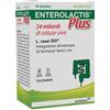 ALFASIGMA SpA ENTEROLACTIS Plus 14 Bustine