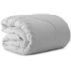 Bassetti Piumino invernale Bassetti 320 gr/mq in microfibra Bianco