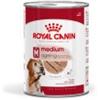 ROYAL CANIN MEDIUM AGEING 410gr