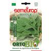 Magnani Bio rucola coltivata