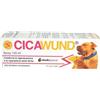 SHEDIRPHARMA Cicawund in Polvere Spray 125ML
