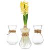 Glasseam Vasi Di Vetro Per Fiori Con Corda In Spago 3 Pezzi/Set - Composizioni Floreali, Gemme Di Cristallo Per Matrimonio, Casa, Cucina, Decorazione Del Balcone Del Giardino