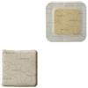 COLOPLAST SpA BIATAIN AG N/AD 10X20CM 5PZ