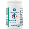 Laboratoire Nutergia Ergycartil Flex 90 Capsule 52 g