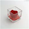 Ars Nova Cubo fondo pietra 8x8 - rosa baccara rosso e gocce