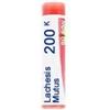 boiron Lachesis mutus 200k gr