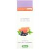 Derbe Shampoo Anti Untuosita