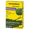 Barenbrug SHADOW coated scatola 1kg per ombra con Festuca ovina