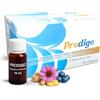 BI3 Pharma Prodigo Difese Immunitarie Adulti Completo | Supporto Completo per Adulti e Bambini | Echinacea Difese Immunitarie, Beta-Glucano, Vitamina C, Zinco, Vit. B6-B12 | 12 Flaconcini Gusto Frutti di Bosco