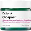 Dr.Jart+ Cicapair - Sleepair Intensive Soothing Repair Mask Maschera Notte Ripar