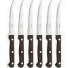 PINTINOX Bistecca P.Wood Set 6 Coltelli Regular Lama Acciaio Inox Manico Pakka Wood