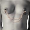 Coquette Chic Desire,Fantasy Coquette Chic Desire Fantacy - Pinze Per Capezzoli