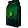 Emerald STRESS CONTROL 5-0-31 sacco 22,7 kg