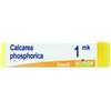 BOIRON Srl CALCAREA PHOSPHO.Dose MK