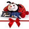 NARAMAKI® Idea Regalo Festa della Mamma 2025 - Peluche Coccinella 20cm + Tubino Baci Perugina 37,5gr - Confezione Regalo (COCCINELLA)
