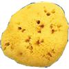 FARMACARE SRL Farmacare Spugna Nat Fori L 8/9Cm 5