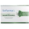 Test Autodiagnostico Rapido Marijuana Sofarmapiu'