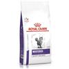 Royal Canin NEUTERED Satiety Balance per Gatti | 400 g | Alimento Completo per Gatti Adulti sterilizzati | può Aiutare a Mantenere Il Peso Ideale