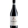 Fumanelli Amarone della Valpolicella Classico DOCG 2019 - Fumanelli - Formato: 0.75 l