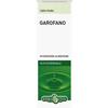 Garofano Chiodi Olio Essenziale 10ml