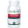 Lievito Birra 60 Capsule