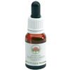 Bush Biotherapies Pty Ltd - Black Eyed Susan Gocce 15ml