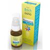 Resource Remedy Spray 10ml