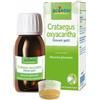 Crataegus Oxyacantha Macerato Glicerico 60ml Int