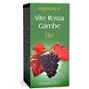 Vite Rossa Gambe Gel 125ml