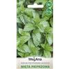 WegAna Semi di menta piperita 0,1g Semi di ortaggi robusti Semi per la coltivazione Erbe da cucina Erbe da balcone e da giardino