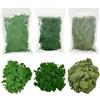 Woohome Alberi Modello, 3 Colori Polvere D'albero Miniatura Alberi Treno Kit Materiale di Base per Scenari Modello Alberi per Fai da Te Paesaggio Décor