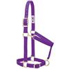 Weaver Equine Weaver Leather, Cavezza in nylon per cavalli, imbottita e regolabile, con moschettone per mento e gola e parti metalliche placcate ottone, adatta per addestramento