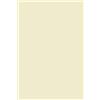 Netuno 20x cartoncino avorio formato A5 14,8 x 21 cm 170g Lessebo Ivory carta fine ecologica sostenibile per stampa libri di pregio comunicazione aziendale ufficio documenti importanti