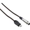 BESPECO BMUSB200 - Cavo interfaccia USB/Cannon per microfono/PC