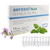 DR. CORRADINI bio - health Dr. Corradini® Soluzione Fisiologica per Lavaggi Nasali con Acido Ialuronico Melissa Perilla e Timo Aerosol Lavaggio Nasale Adulti Bambini 10 Fiale