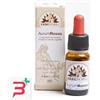 ERBENOBILI Srl AURUMROSSO 10 ML